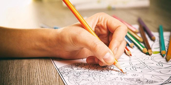 Adult Coloring Books: The Art of Calm