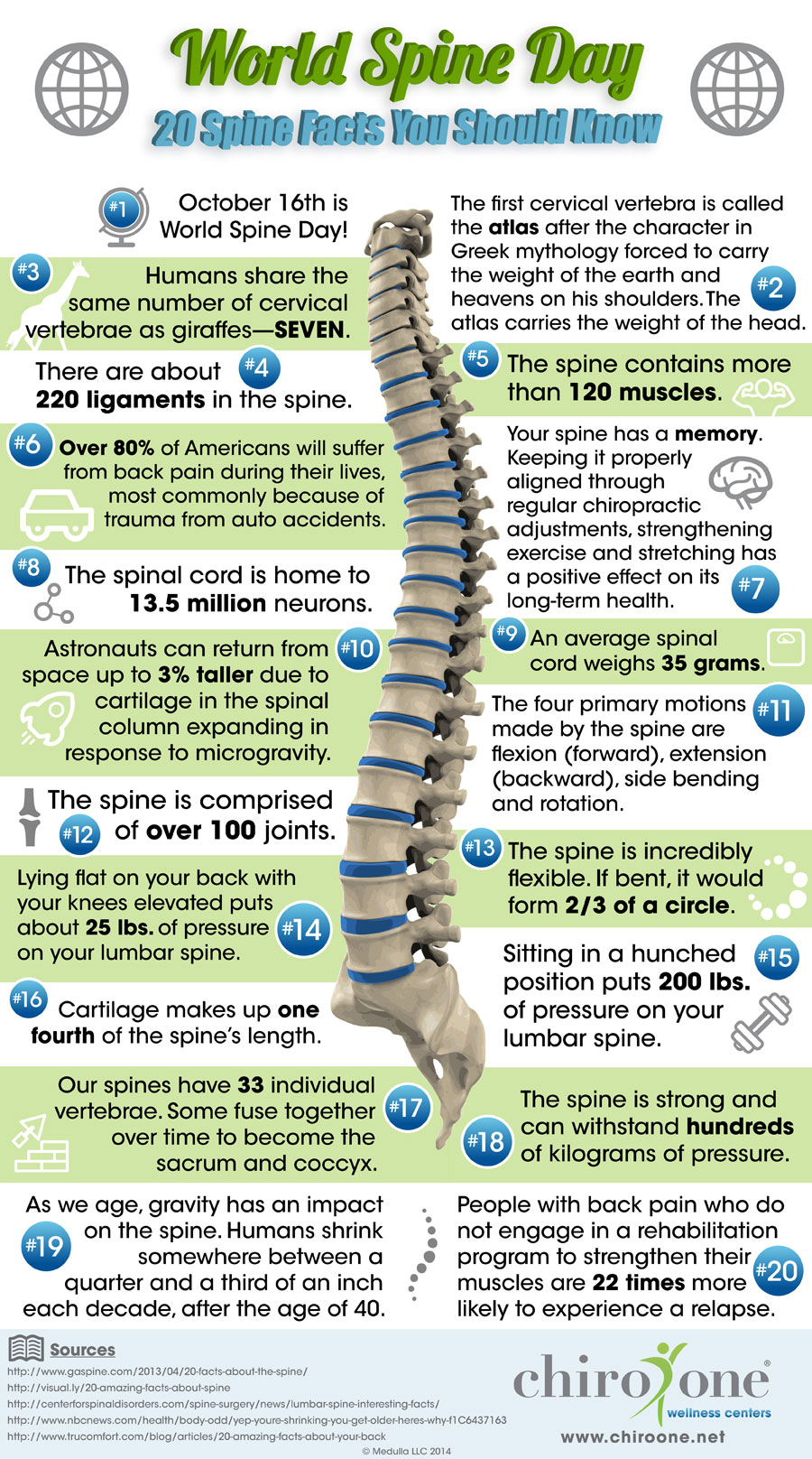 20 fun facts to learn in celebration of World Spine Day