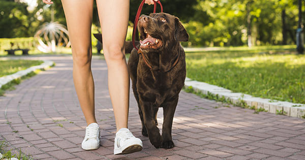 Walking