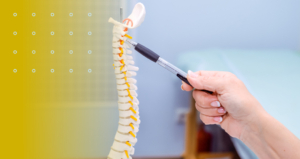A hand holding a pen points to a segment of a model of the human spine (vertebrae and yellow nerve roots), illustrating concepts of spinal alignment and chiropractic anatomy.